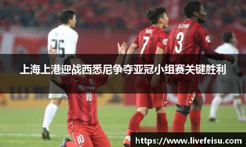 上海上港迎战西悉尼争夺亚冠小组赛关键胜利